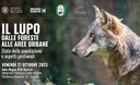 Il lupo, dalle foreste alle aree urbane