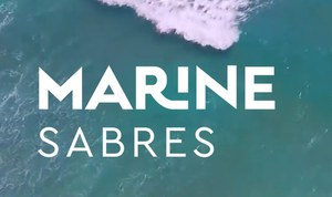 Partecipazione dell’ISPRA alle attività dei progetti europei MARINE SABRES e MARBEFS