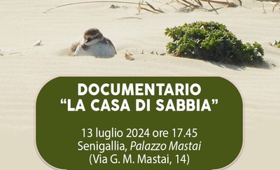 Presentazione del documentario ISPRA "La casa di sabbia"