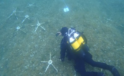 Progetto LIFE SeaForest presso la Baia degli Infreschi effettuato il monitoraggio dell'impianto pilota di ricucitura della prateria di Posidonia oceanica