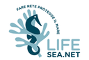 logo-seanet-p.png