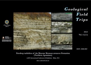 Foredeep turbidites of the Miocene Marnoso-arenacea Formation (Northern Apennines)