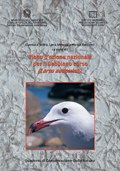 Piano d'azione nazionale per il Gabbiano corso (Larus  audouinii)