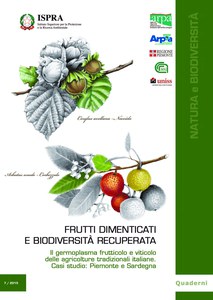 Frutti dimenticati e biodiversità recuperata. Il germoplasma frutticolo e viticolo delle agricolture tradizionali italiane. Casi studio: Piemonte e Sardegna