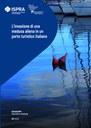 Le specie aliene sono organismi animali e vegetali introdotti accidentalmente o intenzionalmente dall’uomo al di fuori della loro area di origine. Uno dei vettori di introduzione di queste specie è il traffico marittimo, pertanto, studiare le popolazioni aliene che invadono gli ambienti portuali può contribuire a colmare le conoscenze relative ai loro percorsi di invasione e agli impatti su biodiversità ed ecosistemi locali.