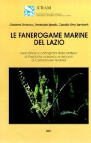 Le fanerogame marine del Lazio