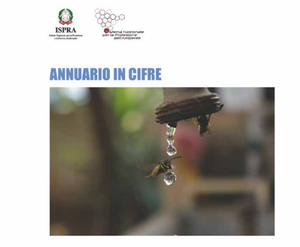 Annuario in cifre