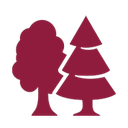 Alberi.png