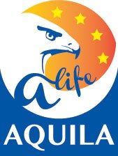 logotipo-aquila-a-life.jpg